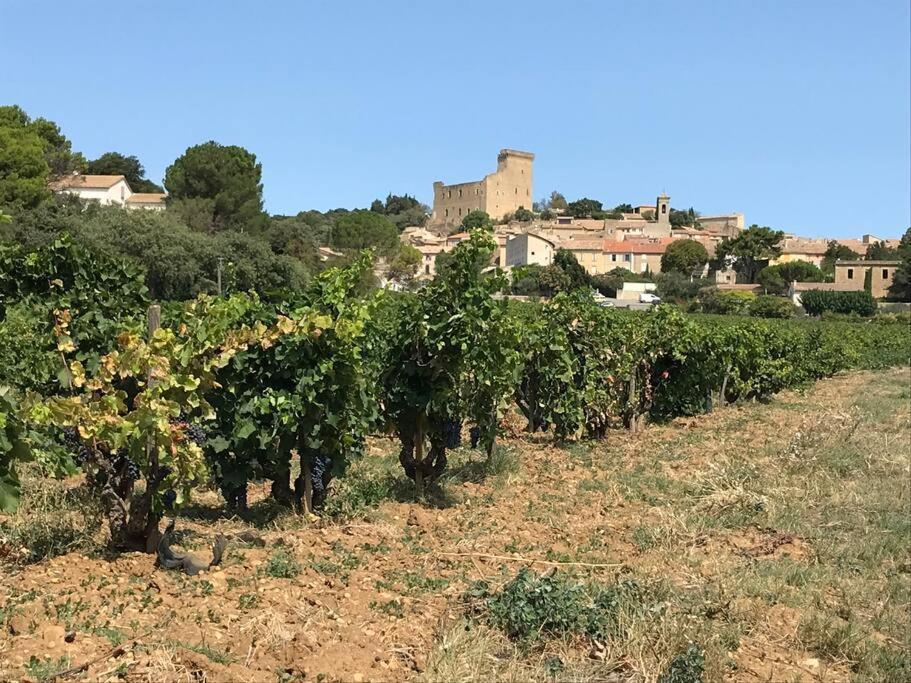 Gites En B&B Le Clos De La Cerise Châteauneuf-du-Pape Exteriér fotografie